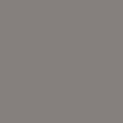 AF-660: Granite  a paint color by Benjamin Moore avaiable at Clement's Paint in Austin, TX.