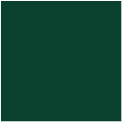HC-189: Chrome Green  a paint color by Benjamin Moore avaiable at Clement's Paint in Austin, TX.