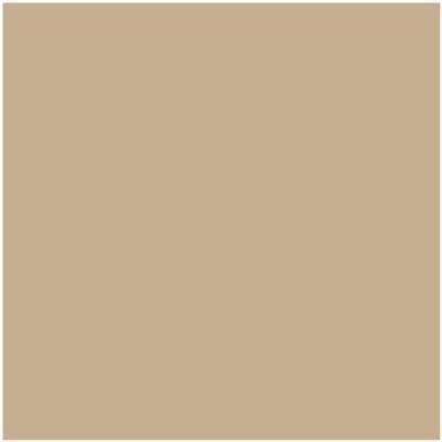 HC-44: Lenox Tan  a paint color by Benjamin Moore avaiable at Clement's Paint in Austin, TX.