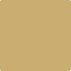 AF-370: Citrine  a paint color by Benjamin Moore avaiable at Clement's Paint in Austin, TX.