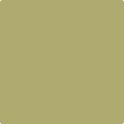 AF-420: Agave  a paint color by Benjamin Moore avaiable at Clement's Paint in Austin, TX.