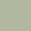 AF-455: Croquet  a paint color by Benjamin Moore avaiable at Clement's Paint in Austin, TX.