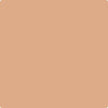 CC-186: Indian Summer  a paint color by Benjamin Moore avaiable at Clement's Paint in Austin, TX.