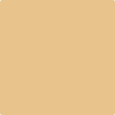 CC-242: Maple Fudge  a paint color by Benjamin Moore avaiable at Clement's Paint in Austin, TX.