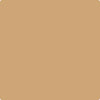 CC-274: Ginger Root  a paint color by Benjamin Moore avaiable at Clement's Paint in Austin, TX.