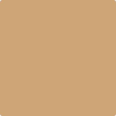 CC-274: Ginger Root  a paint color by Benjamin Moore avaiable at Clement's Paint in Austin, TX.