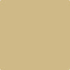 CC-300: Sombrero  a paint color by Benjamin Moore avaiable at Clement's Paint in Austin, TX.