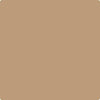 CC-302: Rawhide  a paint color by Benjamin Moore avaiable at Clement's Paint in Austin, TX.