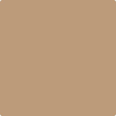 CC-302: Rawhide  a paint color by Benjamin Moore avaiable at Clement's Paint in Austin, TX.