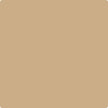 CC-304: Sisal  a paint color by Benjamin Moore avaiable at Clement's Paint in Austin, TX.