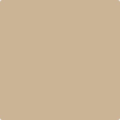 CC-338: Bluffs  a paint color by Benjamin Moore avaiable at Clement's Paint in Austin, TX.