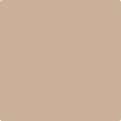 CC-366: Nubuck  a paint color by Benjamin Moore avaiable at Clement's Paint in Austin, TX.