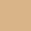 CC-410: Boardwalk  a paint color by Benjamin Moore avaiable at Clement's Paint in Austin, TX.