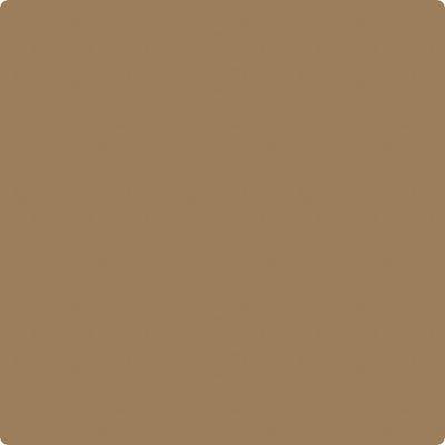 CC-450: Caramel Apple  a paint color by Benjamin Moore avaiable at Clement's Paint in Austin, TX.