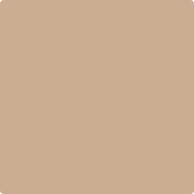 CC-488: Biscotti  a paint color by Benjamin Moore avaiable at Clement's Paint in Austin, TX.