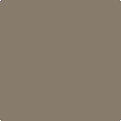 CC-540: Stampede  a paint color by Benjamin Moore avaiable at Clement's Paint in Austin, TX.