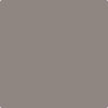 CC-546: Metropolis  a paint color by Benjamin Moore avaiable at Clement's Paint in Austin, TX.