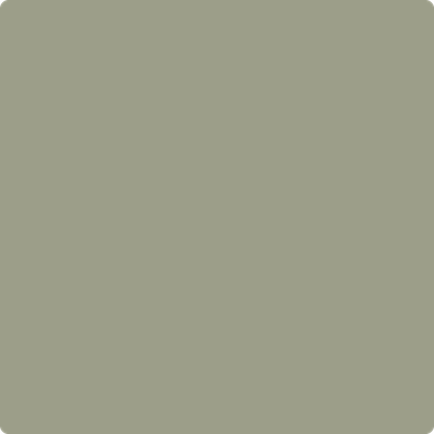 CC-560: Raintree Green  a paint color by Benjamin Moore avaiable at Clement's Paint in Austin, TX.