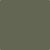 CC-570: Forest Floor  a paint color by Benjamin Moore avaiable at Clement's Paint in Austin, TX.