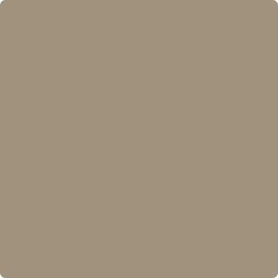 CC-576: Nordic Gray  a paint color by Benjamin Moore avaiable at Clement's Paint in Austin, TX.