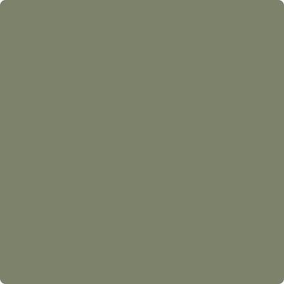 CC-600: Mossy Oak  a paint color by Benjamin Moore avaiable at Clement's Paint in Austin, TX.