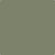 CC-600: Mossy Oak  a paint color by Benjamin Moore avaiable at Clement's Paint in Austin, TX.