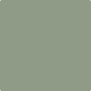 CC-620: High Park  a paint color by Benjamin Moore avaiable at Clement's Paint in Austin, TX.