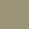 CC-632: Bed of Ferns  a paint color by Benjamin Moore avaiable at Clement's Paint in Austin, TX.
