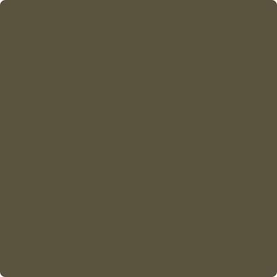CC-662: Night Owl  a paint color by Benjamin Moore avaiable at Clement's Paint in Austin, TX.