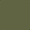 CC-666: Bonsai  a paint color by Benjamin Moore avaiable at Clement's Paint in Austin, TX.