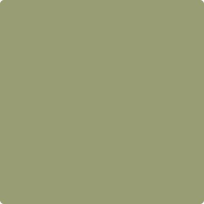 CC-668: Misted Fern  a paint color by Benjamin Moore avaiable at Clement's Paint in Austin, TX.