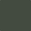 CC-692: Topsoil  a paint color by Benjamin Moore avaiable at Clement's Paint in Austin, TX.