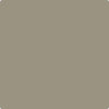 CC-696: Taiga  a paint color by Benjamin Moore avaiable at Clement's Paint in Austin, TX.
