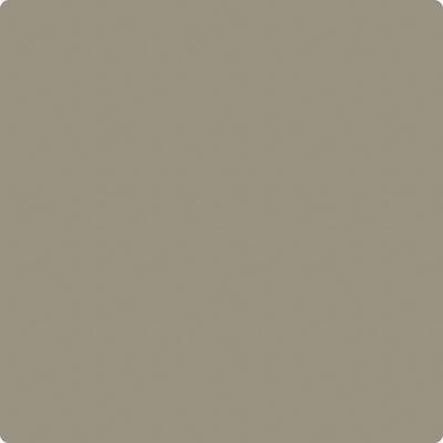 CC-696: Taiga  a paint color by Benjamin Moore avaiable at Clement's Paint in Austin, TX.