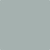 CC-710: Mount Saint Anne  a paint color by Benjamin Moore avaiable at Clement's Paint in Austin, TX.
