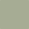 CC-726: Nature Lover  a paint color by Benjamin Moore avaiable at Clement's Paint in Austin, TX.