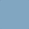CC-812: Five Dollar Bill  a paint color by Benjamin Moore avaiable at Clement's Paint in Austin, TX.