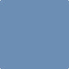 CC-876: Mariner's Tale  a paint color by Benjamin Moore avaiable at Clement's Paint in Austin, TX.