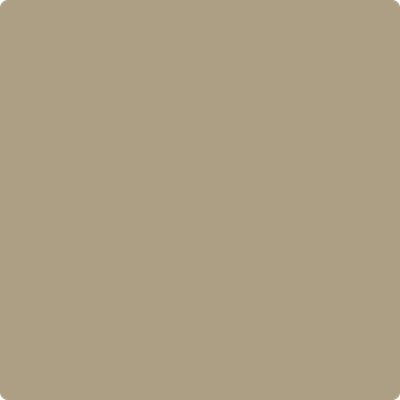 CSP-1040: Shiitake Mushroom  a paint color by Benjamin Moore avaiable at Clement's Paint in Austin, TX.