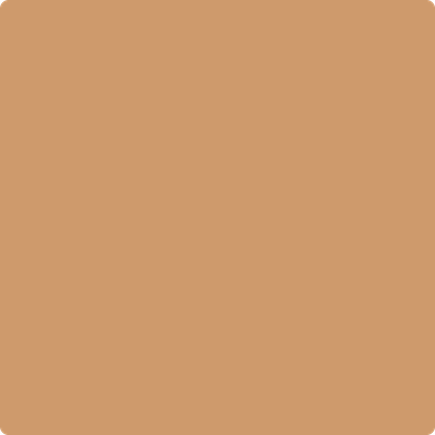 CSP-1070: Warm Sun Glow  a paint color by Benjamin Moore avaiable at Clement's Paint in Austin, TX.