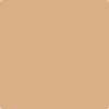 CSP-1090: Approaching Autumn  a paint color by Benjamin Moore avaiable at Clement's Paint in Austin, TX.