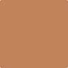 CSP-1095: Fire Glow  a paint color by Benjamin Moore avaiable at Clement's Paint in Austin, TX.