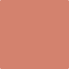 CSP-1115: Tropical Fruit  a paint color by Benjamin Moore avaiable at Clement's Paint in Austin, TX.