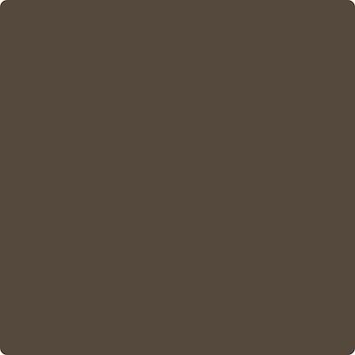 CSP-210: Café Doppio  a paint color by Benjamin Moore avaiable at Clement's Paint in Austin, TX.
