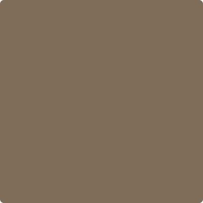 CSP-265: Kentucky Birch  a paint color by Benjamin Moore avaiable at Clement's Paint in Austin, TX.