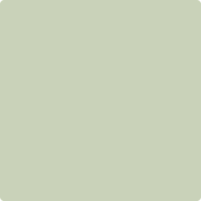 CSP-790: Budding Green  a paint color by Benjamin Moore avaiable at Clement's Paint in Austin, TX.