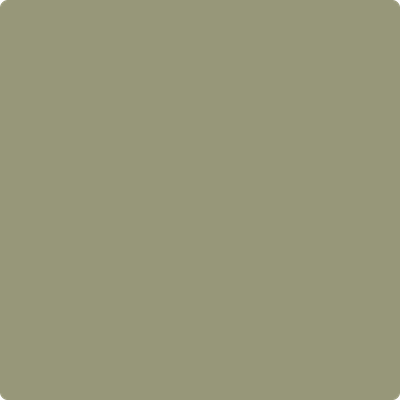 CSP-825: Thayer Green  a paint color by Benjamin Moore avaiable at Clement's Paint in Austin, TX.