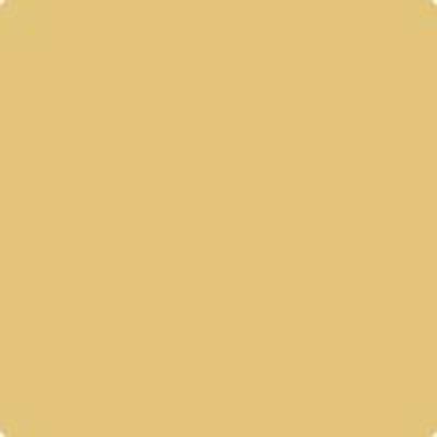 HC-11: Marblehead Gold  a paint color by Benjamin Moore avaiable at Clement's Paint in Austin, TX.