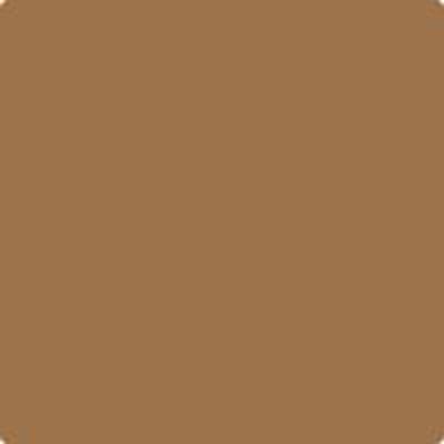 HC-40: Greenfield Pumpkin  a paint color by Benjamin Moore avaiable at Clement's Paint in Austin, TX.